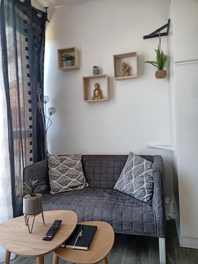 Apartament Cosy Studio 4 Personnes, Proche Mer Et Commerce 0 Chambre Le Grau-du-Roi Zewnętrze zdjęcie